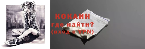 гидра Верхний Тагил