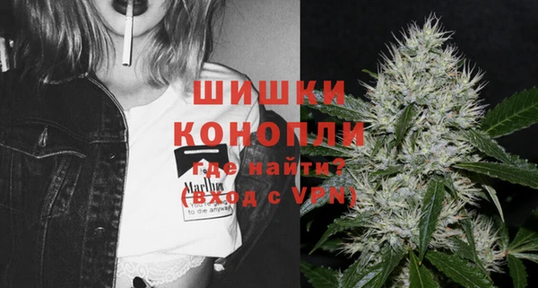 гидра Верхний Тагил