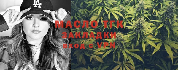 гидра Верхний Тагил