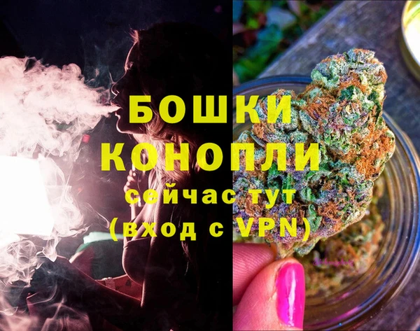 гидра Верхний Тагил