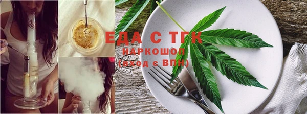 гидра Верхний Тагил