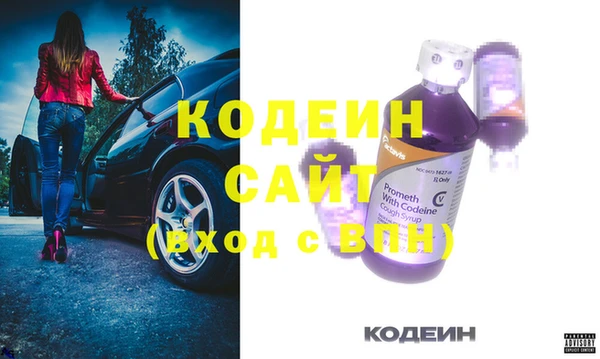 гидра Верхний Тагил